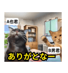 ⚫猫ミームで会話⭐40匹セット！！ 煽り/煽る（個別スタンプ：10）