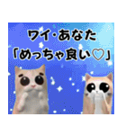 ⚫猫ミームで会話⭐40匹セット！！ 煽り/煽る（個別スタンプ：12）