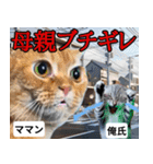 ⚫猫ミームで会話⭐40匹セット！！ 煽り/煽る（個別スタンプ：15）