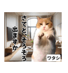 ⚫猫ミームで会話⭐40匹セット！！ 煽り/煽る（個別スタンプ：28）