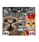 ⚫猫ミームで会話⭐40匹セット！！ 煽り/煽る（個別スタンプ：29）