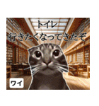 ⚫猫ミームで会話⭐40匹セット！！ 煽り/煽る（個別スタンプ：32）