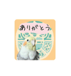 オカメインコのきーちゃんの日常会話（個別スタンプ：3）