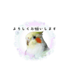 オカメインコのきーちゃんの日常会話（個別スタンプ：5）