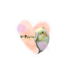 オカメインコのきーちゃんの日常会話（個別スタンプ：14）