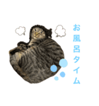 ネオ・ザ・タロウ3（個別スタンプ：4）