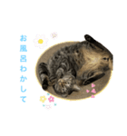 ネオ・ザ・タロウ3（個別スタンプ：5）