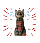 ネオ・ザ・タロウ3（個別スタンプ：6）