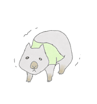 wombat-wonta（個別スタンプ：19）