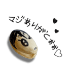ギャル語のピスタチオ（個別スタンプ：6）