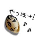 ギャル語のピスタチオ（個別スタンプ：7）