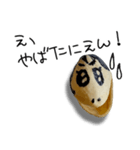 ギャル語のピスタチオ（個別スタンプ：11）