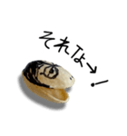 ギャル語のピスタチオ（個別スタンプ：12）