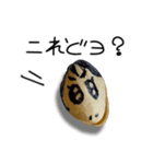ギャル語のピスタチオ（個別スタンプ：15）