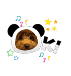 SHELLY☆OTO☆PAPI☆CHIMMY（個別スタンプ：4）