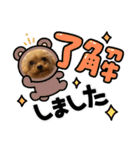 SHELLY☆OTO☆PAPI☆CHIMMY（個別スタンプ：9）