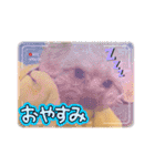 SHELLY☆OTO☆PAPI☆CHIMMY（個別スタンプ：12）