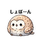 ぺたんフクロウ（個別スタンプ：4）