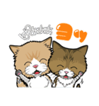 えーすとむーすの猫スタンプ（個別スタンプ：1）