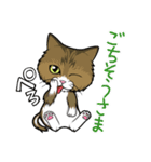 えーすとむーすの猫スタンプ（個別スタンプ：2）