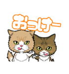 えーすとむーすの猫スタンプ（個別スタンプ：4）