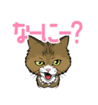えーすとむーすの猫スタンプ（個別スタンプ：5）