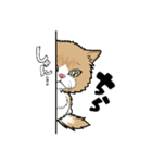 えーすとむーすの猫スタンプ（個別スタンプ：6）