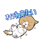 えーすとむーすの猫スタンプ（個別スタンプ：9）
