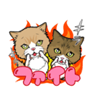 えーすとむーすの猫スタンプ（個別スタンプ：10）
