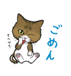 えーすとむーすの猫スタンプ（個別スタンプ：11）