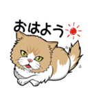 えーすとむーすの猫スタンプ（個別スタンプ：12）