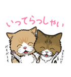 えーすとむーすの猫スタンプ（個別スタンプ：13）