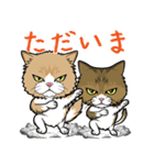 えーすとむーすの猫スタンプ（個別スタンプ：15）