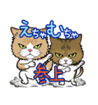 えーすとむーすの猫スタンプ（個別スタンプ：16）