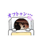 猫さん(*^^*)（個別スタンプ：8）