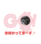 トム君チャンネル（個別スタンプ：1）