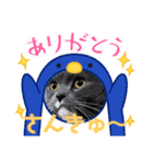 トム君チャンネル（個別スタンプ：7）
