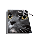 トム君チャンネル（個別スタンプ：8）