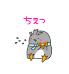 トッカンペンギンの日常（個別スタンプ：24）