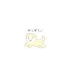 ペキ柴くるみのまいにち。（個別スタンプ：6）
