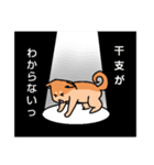 柴犬と干支のスタンプ（個別スタンプ：16）