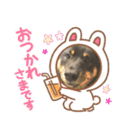 黒豆柴との日常スタンプ（個別スタンプ：27）