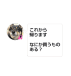 黒豆柴との日常スタンプ（個別スタンプ：32）