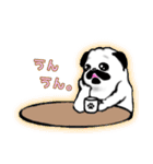 パグ＊スタンプ / 6（個別スタンプ：4）