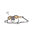 コイチャンスタンプ（個別スタンプ：36）