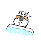コイチャンスタンプ（個別スタンプ：37）