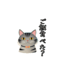 癖つよニャンコスタンプ（個別スタンプ：8）