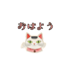 癖つよニャンコスタンプ（個別スタンプ：34）