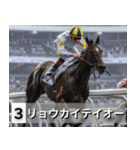 ⚫架空の競走馬で日常会話3【競馬・騎手】（個別スタンプ：4）