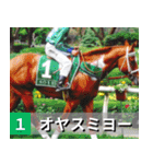 ⚫架空の競走馬で日常会話3【競馬・騎手】（個別スタンプ：5）